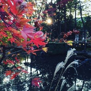 Meet your Posher, Tomoe